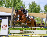 WH - YHF - SJ - EVA95 Young Horse - 06.12.2025