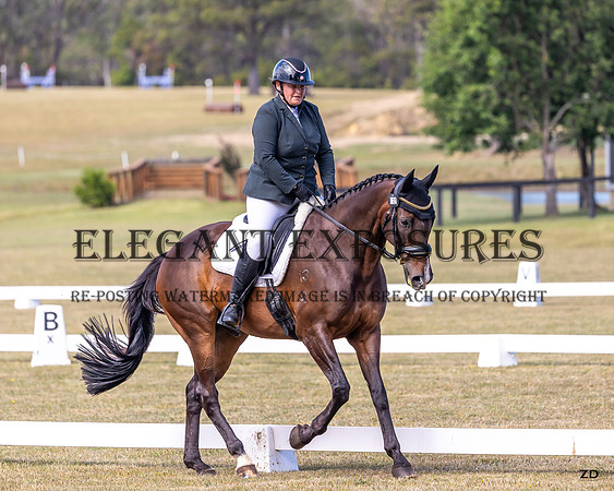 ZJD-5674