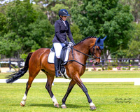 WH - YHF - DR - Arena 1 - CCN1*-S 5/6YO - 06.12.2025