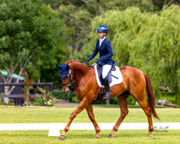 WH - YHF - Dressage - 06.12.2025