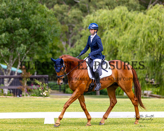 MASX6035