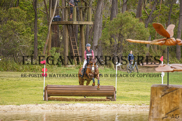 _AJG3767