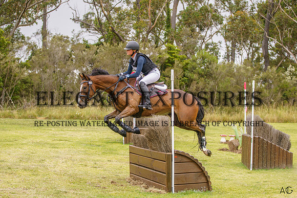 _AJG3754