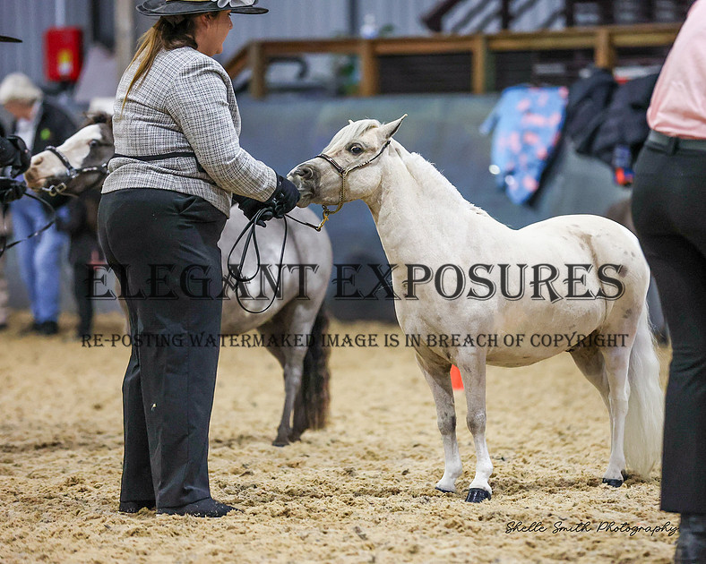 Elegant Exposures | AMHS - Winter - Classes 1-19 30.06.2024