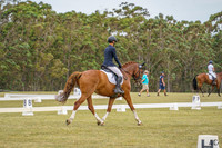 _AJG2628
