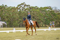 _AJG2695