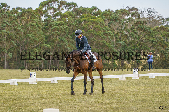 _AJG3002