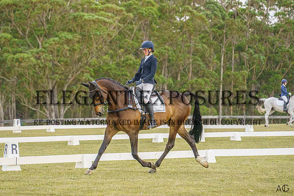 _AJG3028