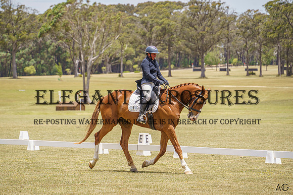 _AJG1836