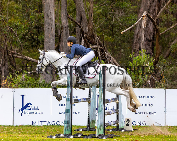 ZJD-8482