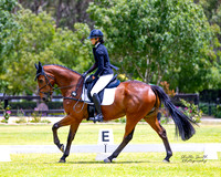 MASX6337
