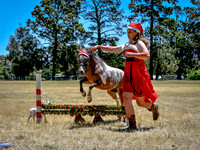 AMHS - Yass Christmas Show - Sunday 07.12.2025