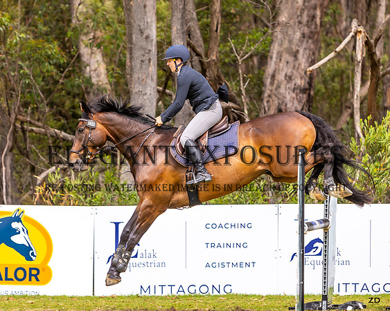 ZJD-9294