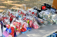 AMHS - Yass Christmas Show - Extra Memories
