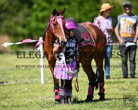 RII_0249