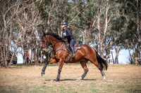 OLS_7134