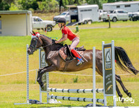 BRC - Xmas - SJ - 45cm - 14.12.2025