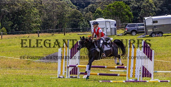 KMS-5321