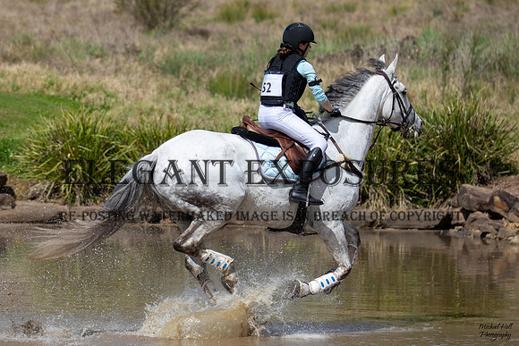 _MHP2013
