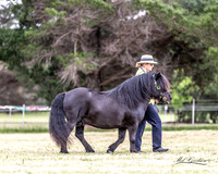 MKG_8645