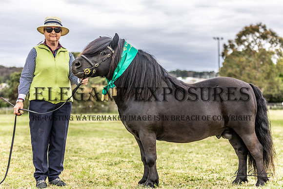 MKG_9011