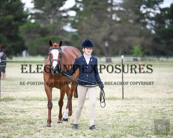 RII_0354