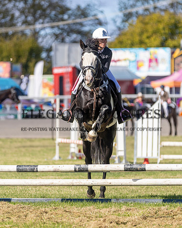 Ma4-5659