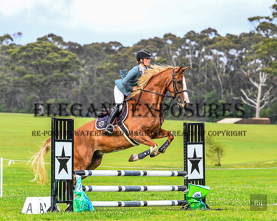 RII_2080A