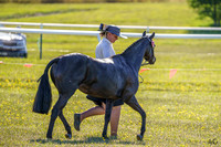 Bowral Show - Hack Ring 1 - 10.01.2026