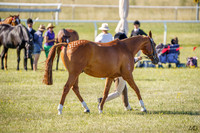 _AJG5916
