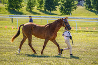 _AJG5924