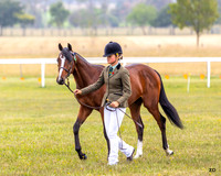 Bowral Show - Hack Ring 5 - 11.01.2026