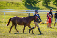 _AJG5928