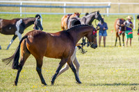 _AJG5896