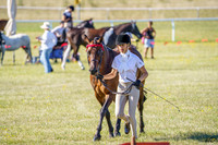 _AJG5897