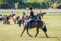 _AJG5944