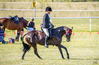 _AJG5952