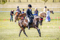 _AJG5954