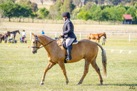 _AJG5967