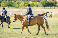 _AJG5970