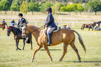 _AJG5971