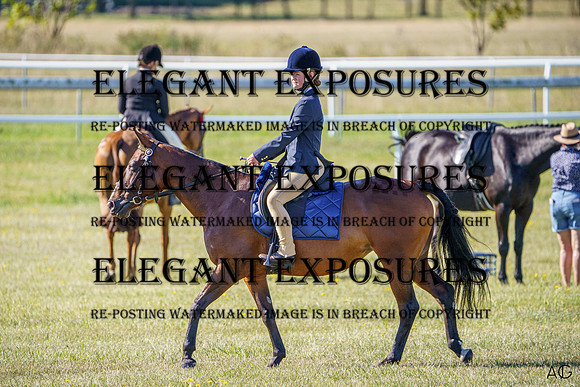_AJG6029