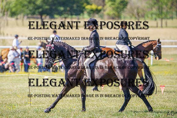 _AJG6358