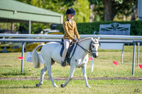 _AJG5886