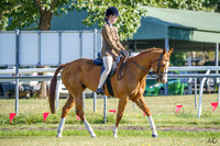 _AJG5893