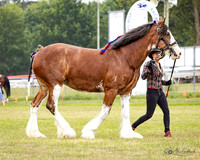 AG_7980