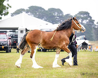 AG_8014