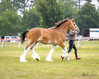 AG_8042