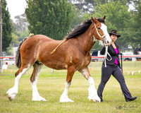 AG_8017