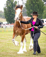 AG_8039